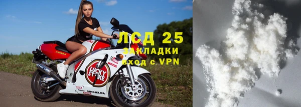 индика Кукмор