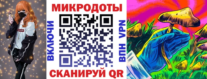 купить наркотик  Новозыбков  Галлюциногенные грибы Cubensis 