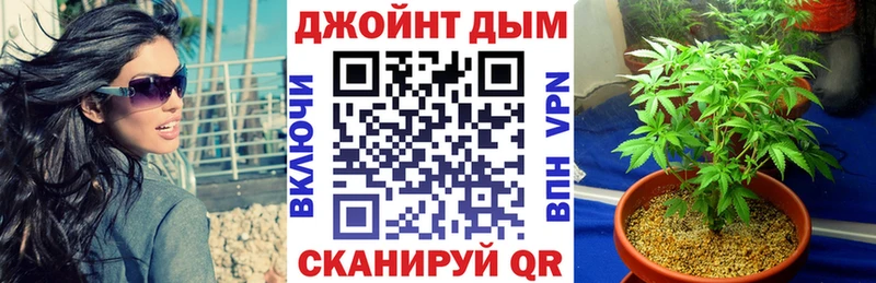 гидра ТОР  Новозыбков  Конопля семена 